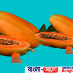 ত্বক পরিষ্কার,ওজন কমাতে পেঁপে Bangla-alo.com