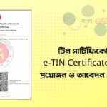 টিন সার্টিফিকেট কি e-TIN Certificate এর সুবিধা, প্রয়োজন ও আবেদন করার নিয়ম 